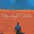 New Southwest book written by Meredith Blevins and Win Blevins in the style of Hillerman.